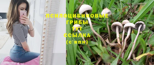 кокс Краснослободск