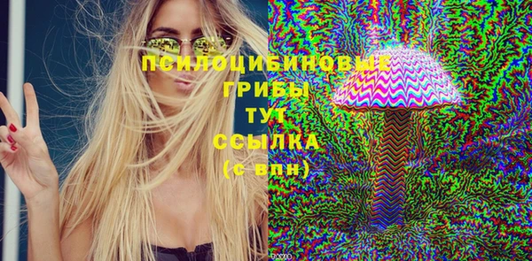 соль ск Аркадак